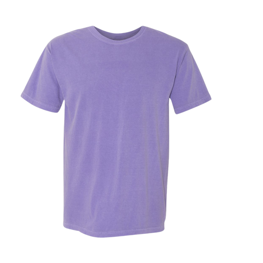 $18 1 Comfort Color T-Shirt/Long Sleeve